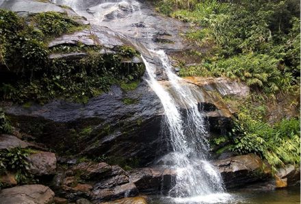 Floresta da tijuca 8 destaques